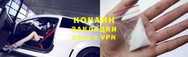 трава Арсеньев