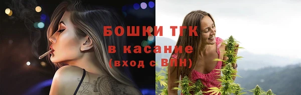 трава Арсеньев