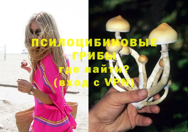первитин Армянск