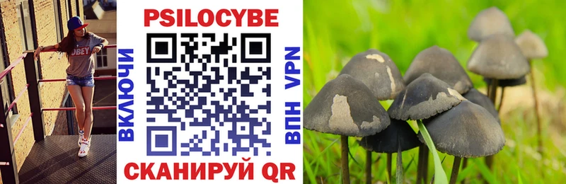 Галлюциногенные грибы ЛСД  закладка  Чаплыгин 